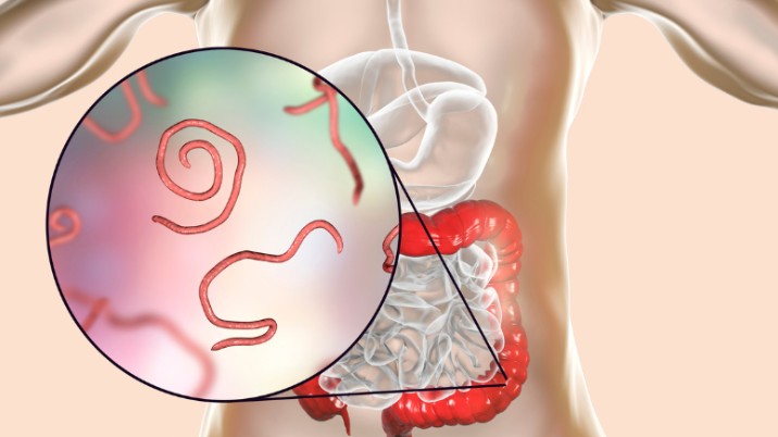กระเทียมและประโยชน์ทางสุขภาพ