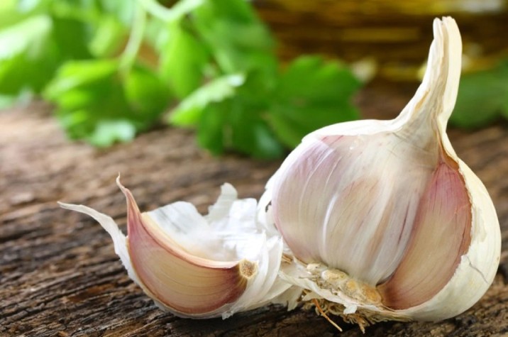 การวิจัยเกี่ยวกับกระเทียม